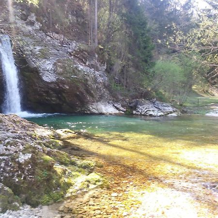 Apartma Vojvoda Bohinj Exteriör bild