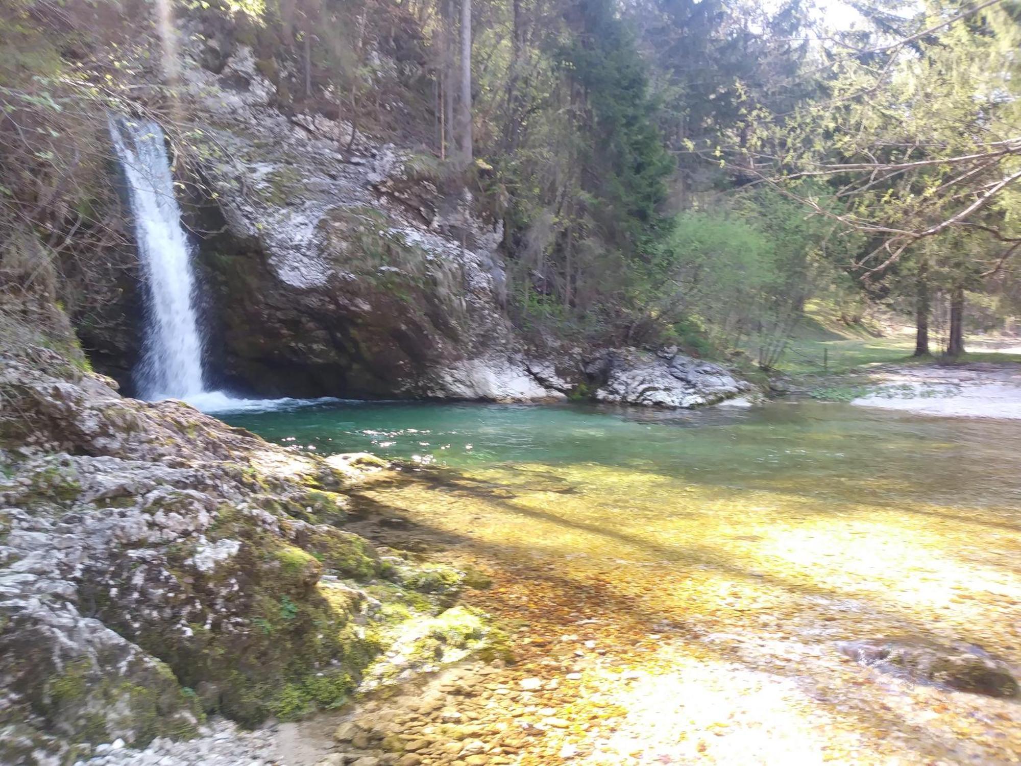 Apartma Vojvoda Bohinj Exteriör bild