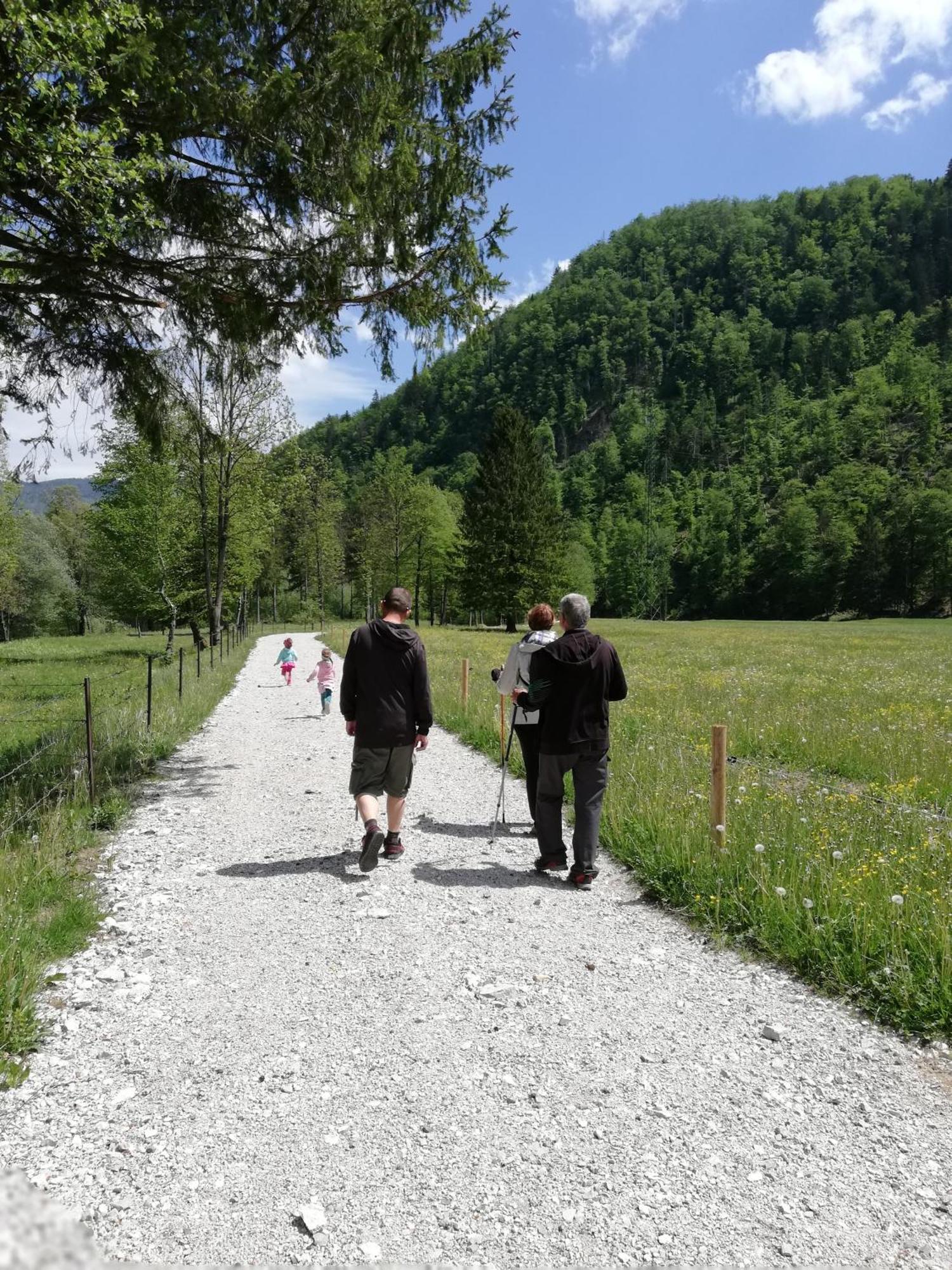 Apartma Vojvoda Bohinj Exteriör bild